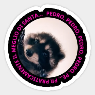 PEDRO, PEDRO, PEDRO, PEDRO, PE... PR PRATICAMENTE Sticker